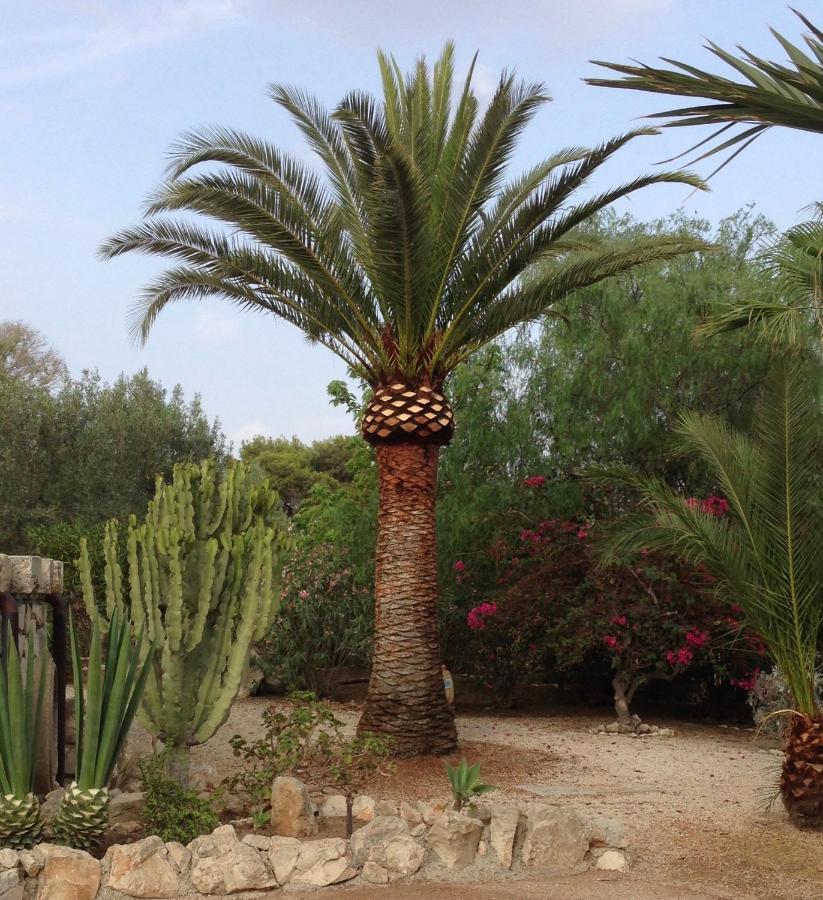 Villa Dea سامبييري المظهر الخارجي الصورة