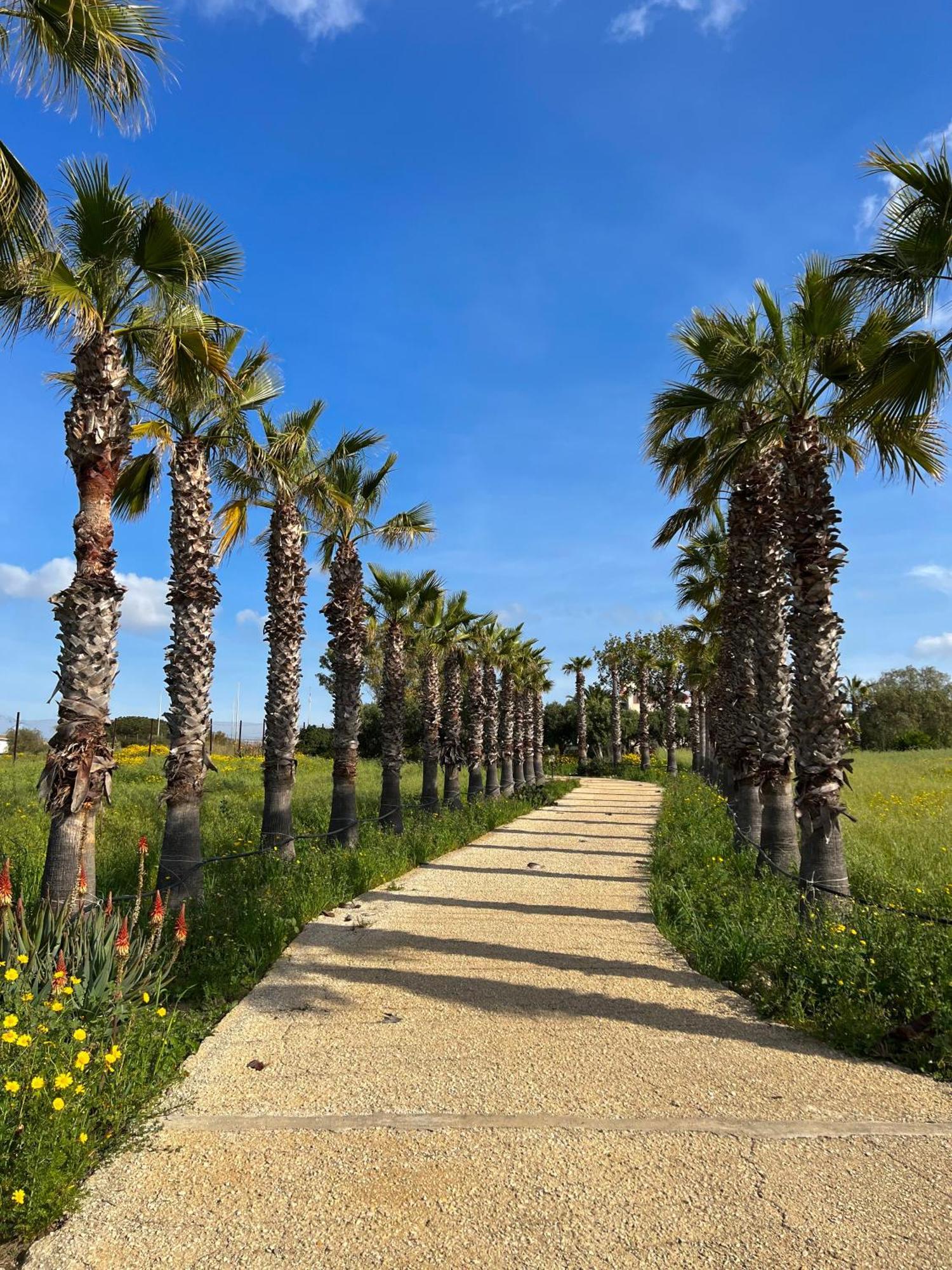 Villa Dea سامبييري المظهر الخارجي الصورة